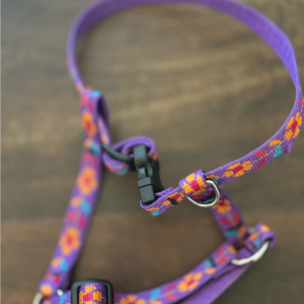 Purple Floral Lupine Small Dog Harness